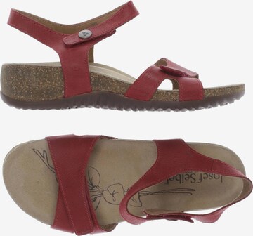 JOSEF SEIBEL Sandals & High-Heeled Sandals in 36 in Red: front