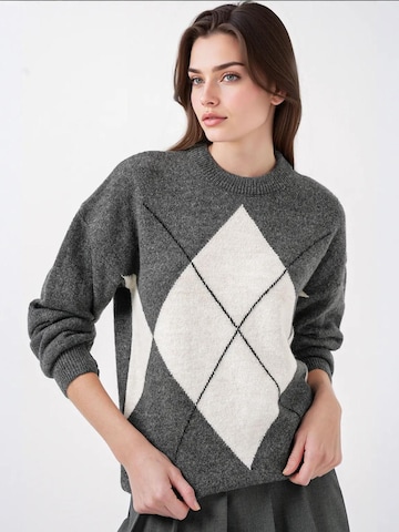 Pull-over 'Pullover' Bigdart en gris : devant
