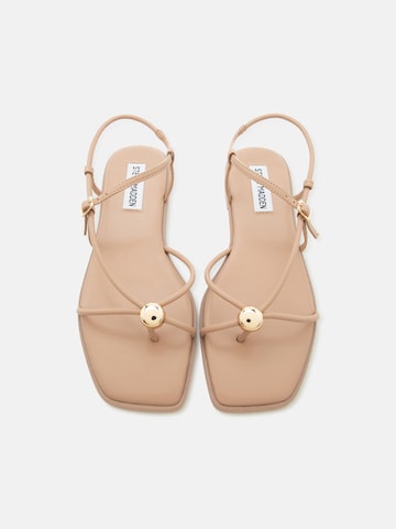 STEVE MADDEN Σαγιονάρες διχαλωτές 'Tiki' σε μπεζ