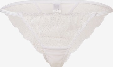 Slip 'Irena' Bluebella en blanc : devant