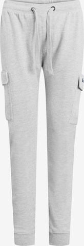 Pantalon 'Fargo' BENCH en gris : devant