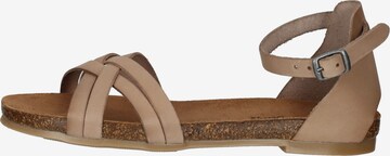 COSMOS COMFORT Sandalen met riem in Beige