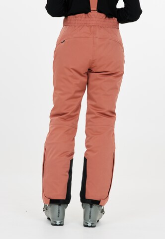 Whistler Regular Workout Pants 'YARRA' in Brown