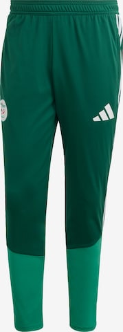 ADIDAS PERFORMANCE - Slimfit Calças de desporto 'Algerien 26' em verde: frente