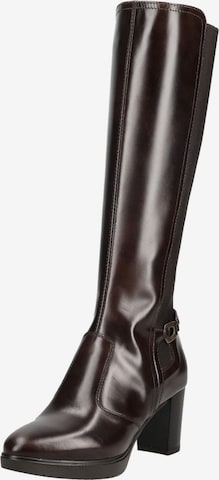 Nero Giardini Stiefel in Braun: Vorderseite