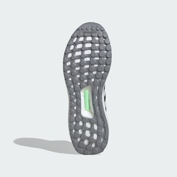 ADIDAS SPORTSWEAR Sneaker  'Ultraboost 1.0' in Grau