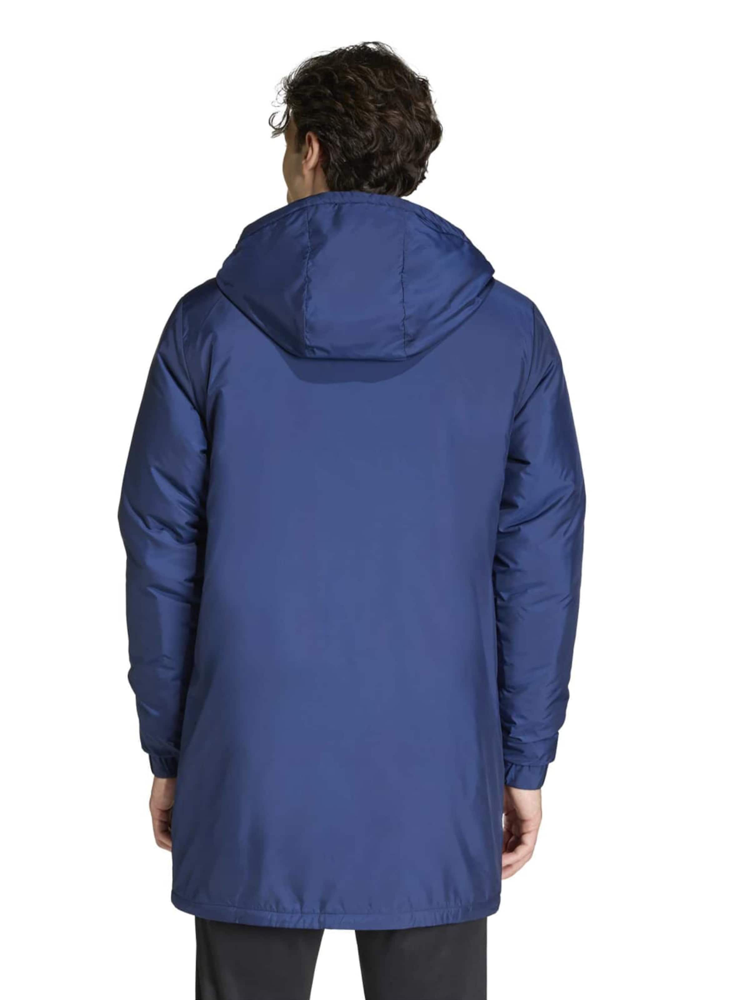 ADIDAS PERFORMANCE - Chaqueta de montaña 'ENT26 STAD' en azul