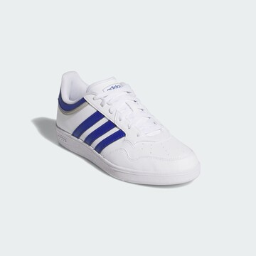 Baskets basses 'Hoops 4.0' ADIDAS SPORTSWEAR en blanc