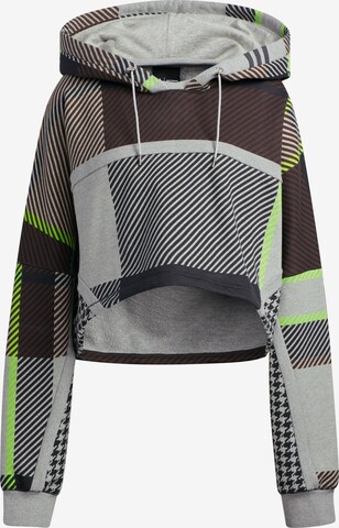 ADIDAS ORIGINALS Sweatshirt 'IVP SHRUG' in Grau: predná strana