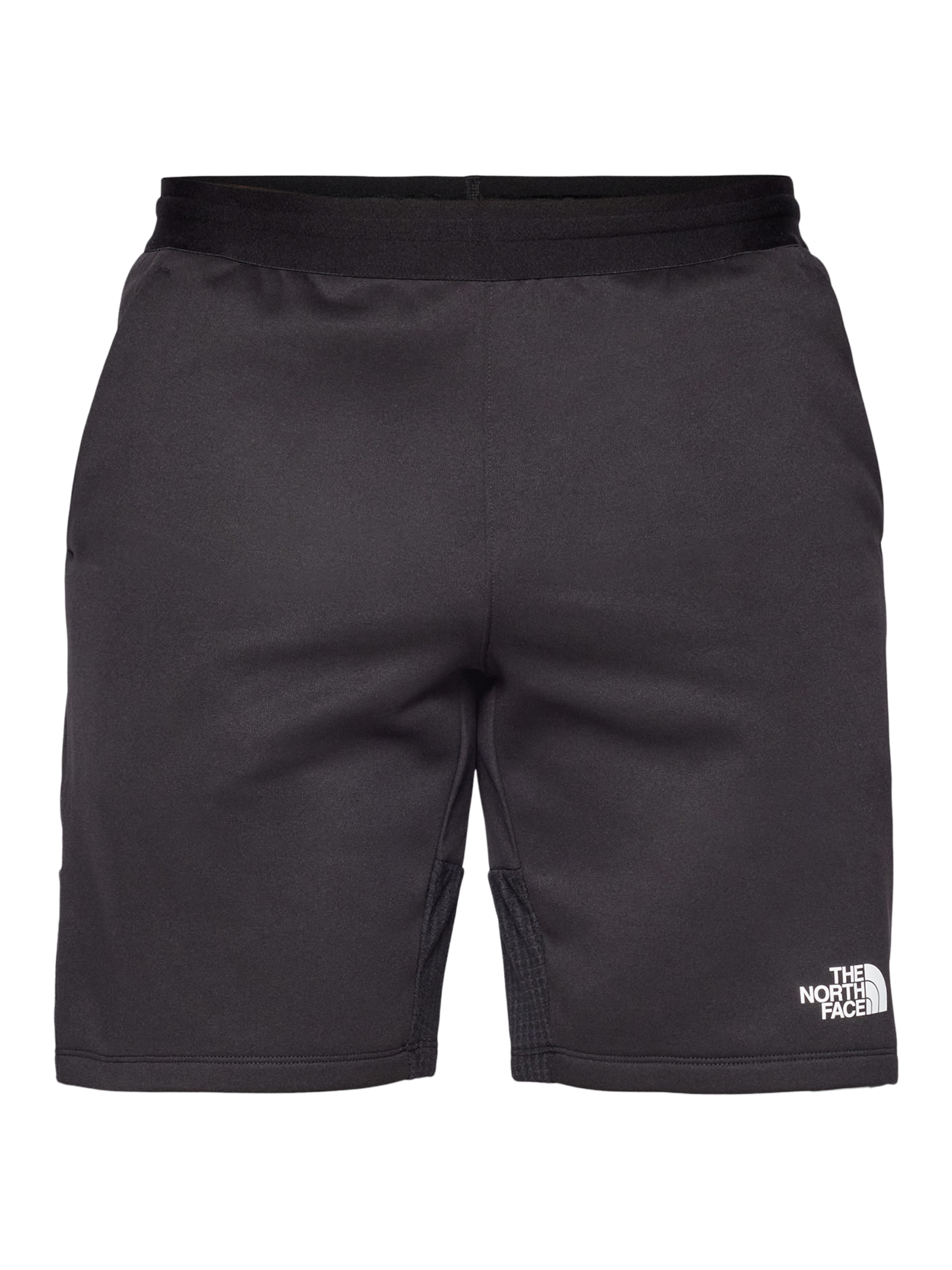 THE NORTH FACE Regular Sportshorts in Schwarz: Vorderseite