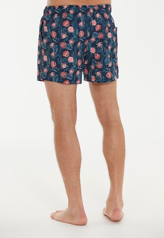 Cruz Board Shorts 'Obi Van' in Blue