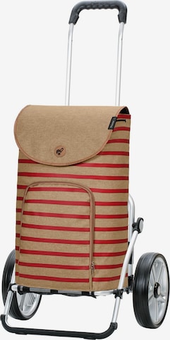 Trolley 'Eske' di Andersen Shopper in rosso: frontale
