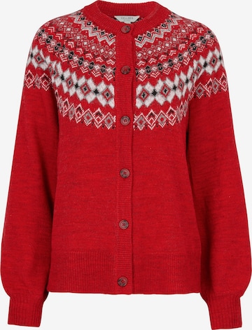 Cellbes of Sweden Pullover in Rot: Vorderseite