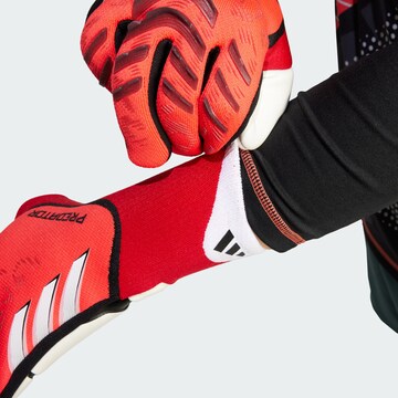 ADIDAS PERFORMANCE Sports gloves 'Predator Pro' in Red
