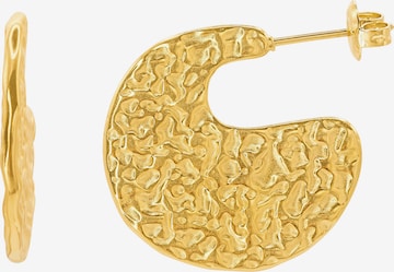 Heideman Earrings 'Paulus ' in Gold: front