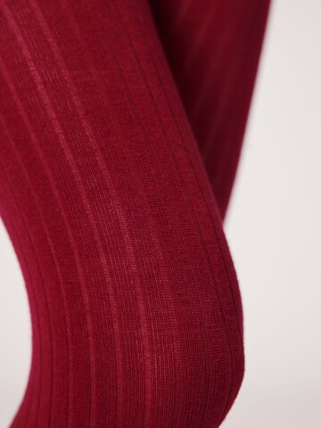 CALZEDONIA Tights in Red