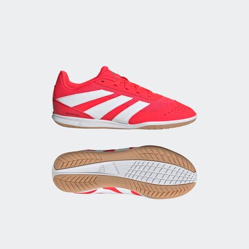 Chaussure de sport 'Predator' ADIDAS PERFORMANCE en rouge