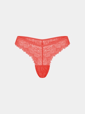 Erlich Textil - Tanga em laranja