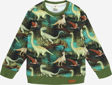 Walkiddy Sweatshirt in Groen: voorkant