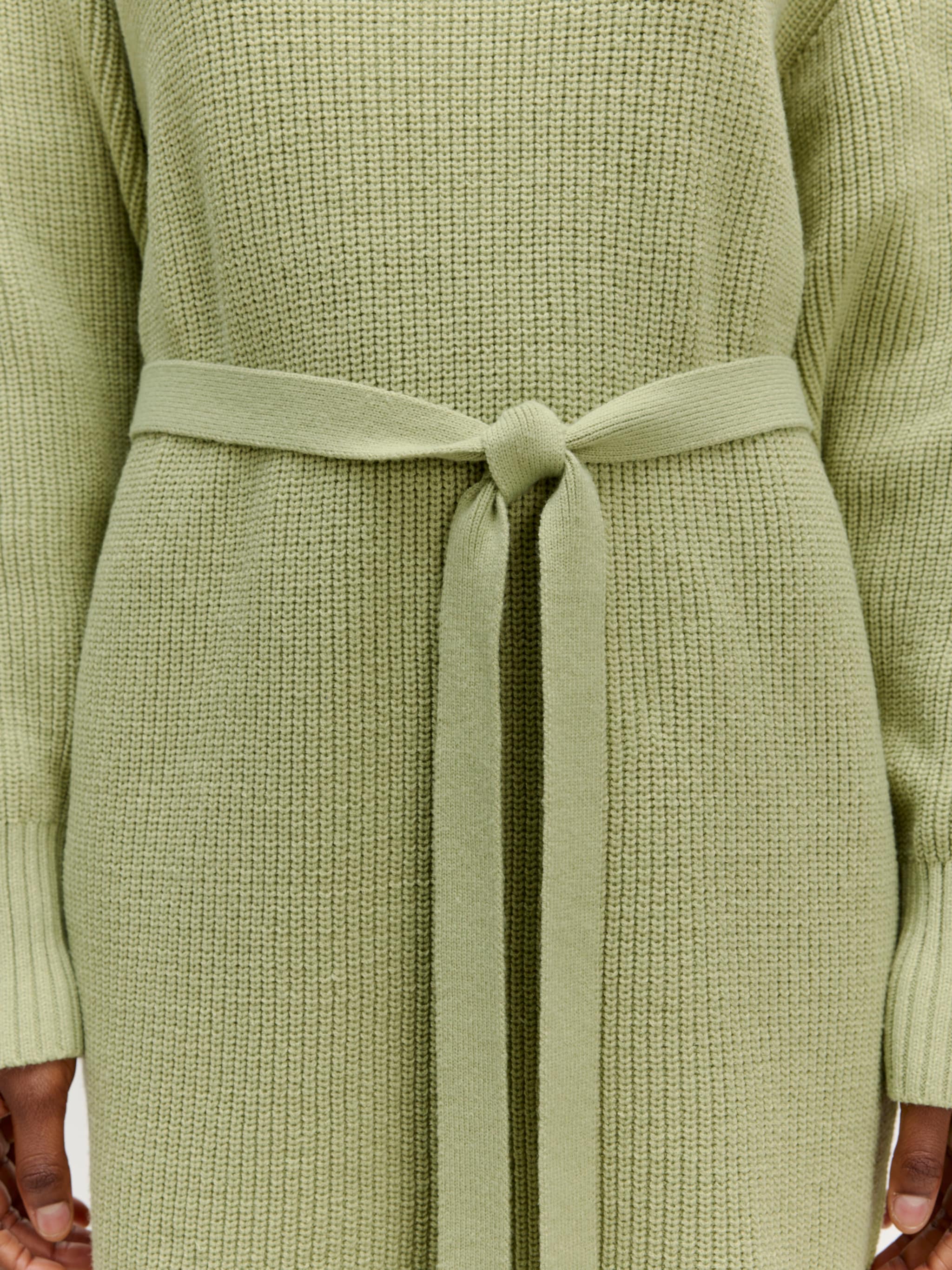 EDITED Produkte Kleid 'Fenja' grün