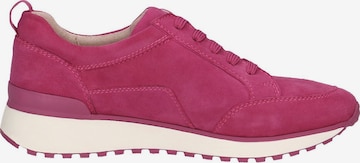 CAPRICE Athletic Lace-Up Shoes in Pink