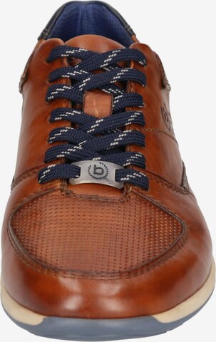 bugatti Sneakers in Brown