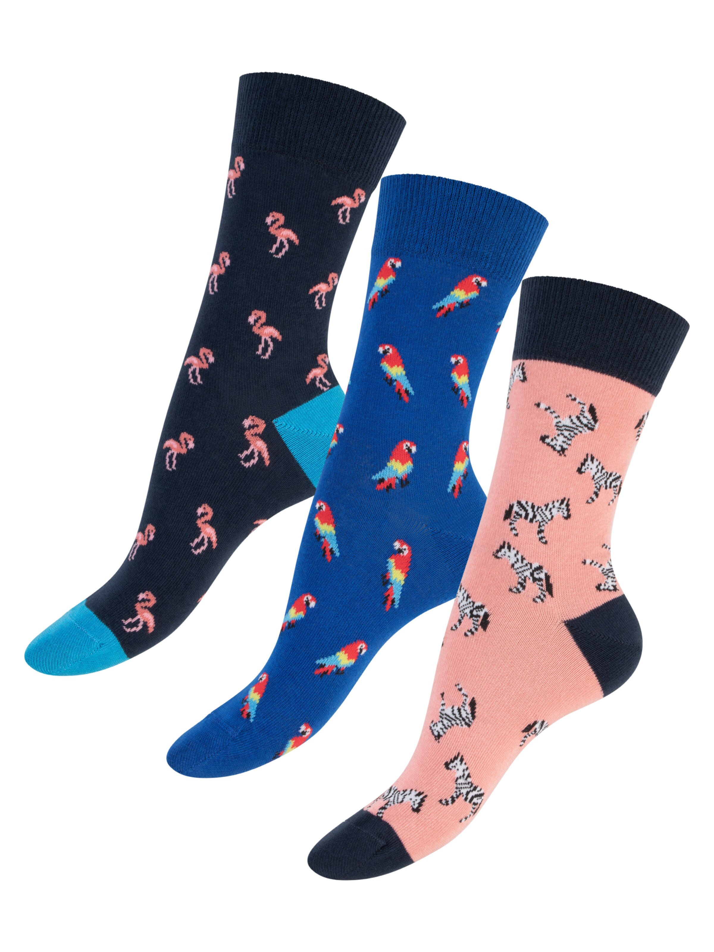 footstar Socken‌‌‌ in Blau: Vorderseite