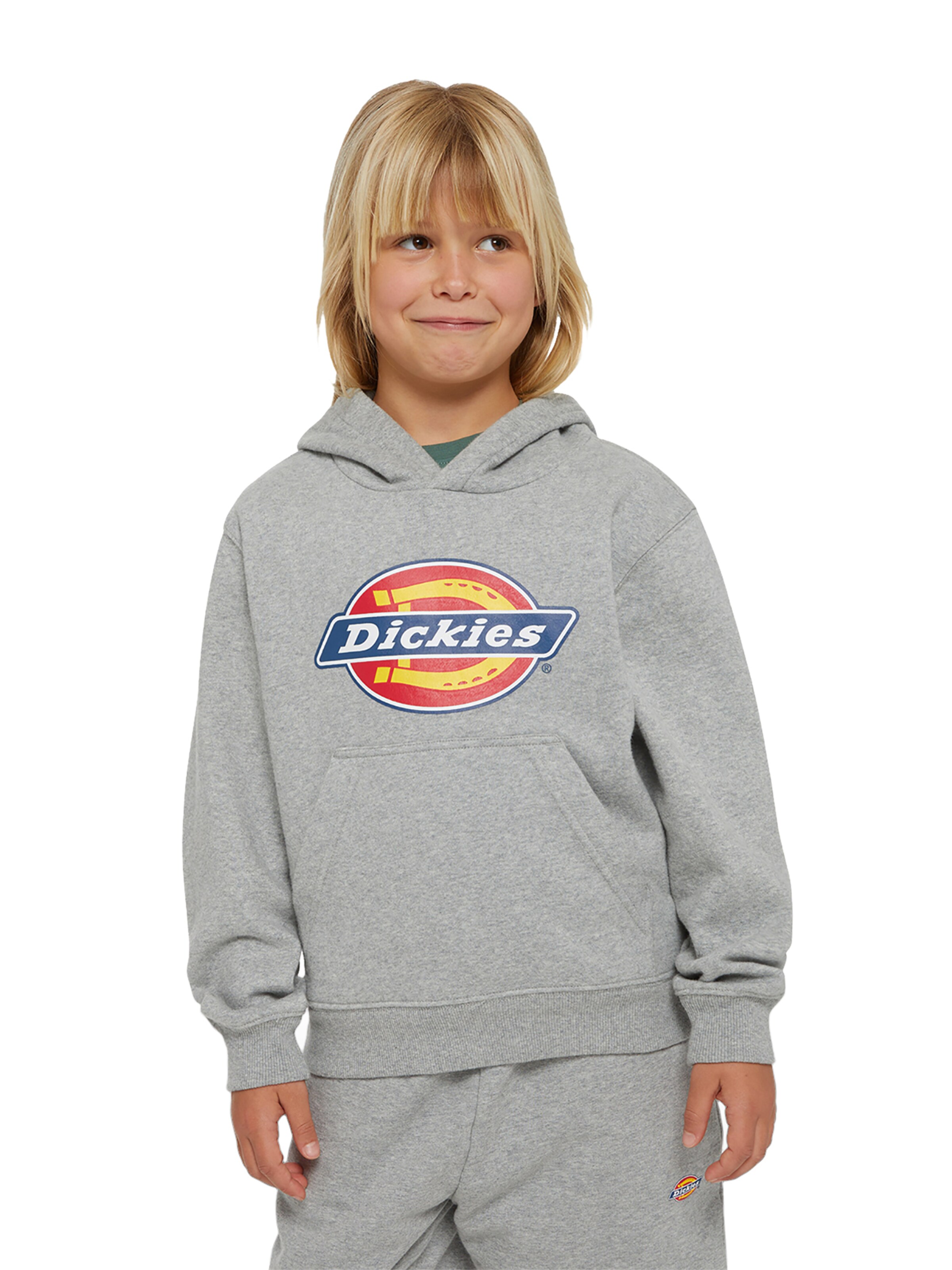 DICKIES Sweatshirt i grå: framsida