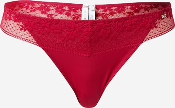 Tommy Hilfiger Underwear Tanga 'Ditsy' – červená: přední strana