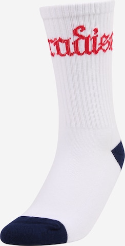 Mister Tee Socken 'Paradise' in Blau