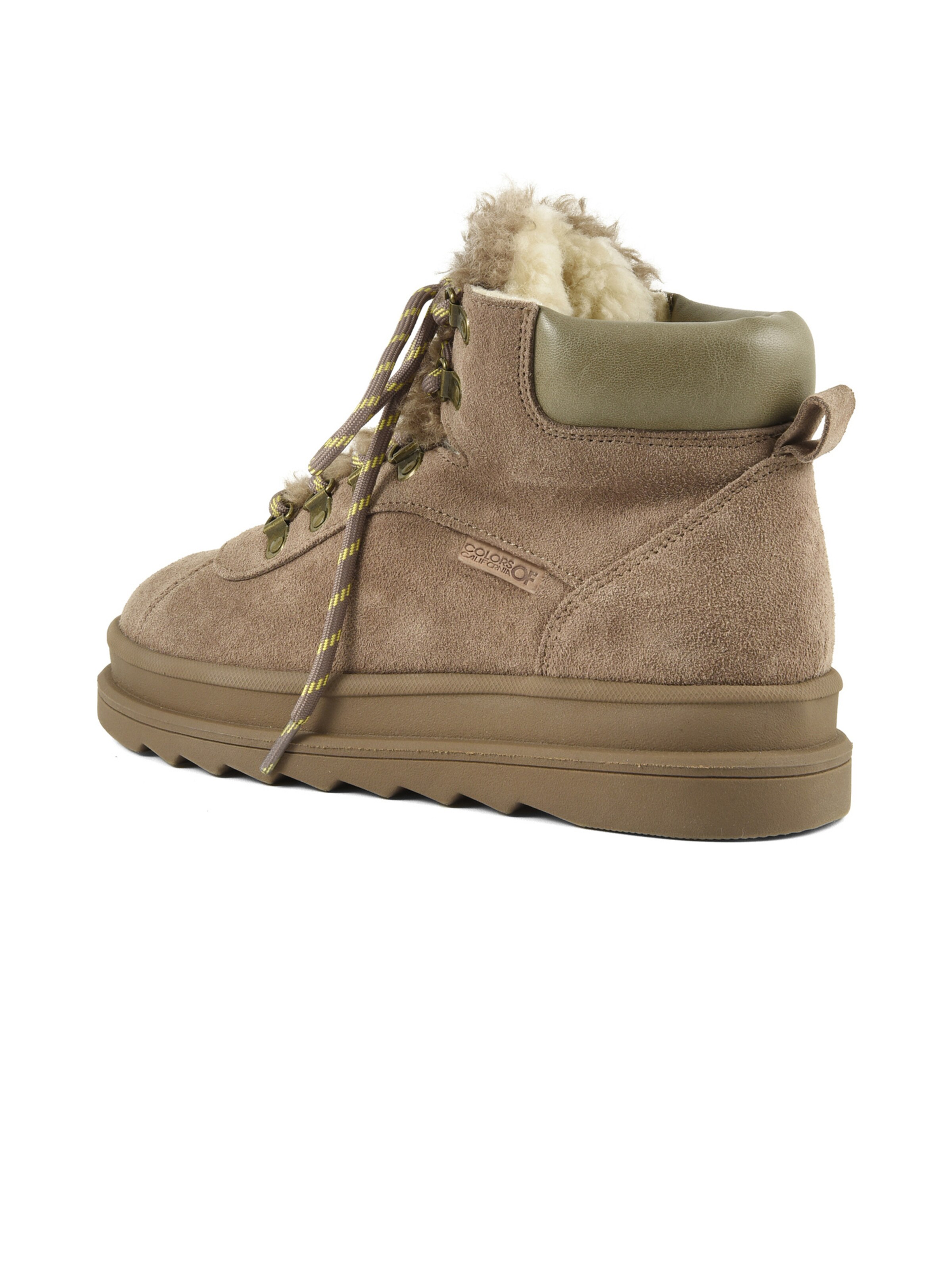 Stivaletto stringato di COLORS OF CALIFORNIA in marrone: dietro