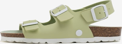 Bayton Sandale in grün / weiß, Produktansicht