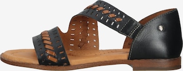 PIKOLINOS Sandals in Black