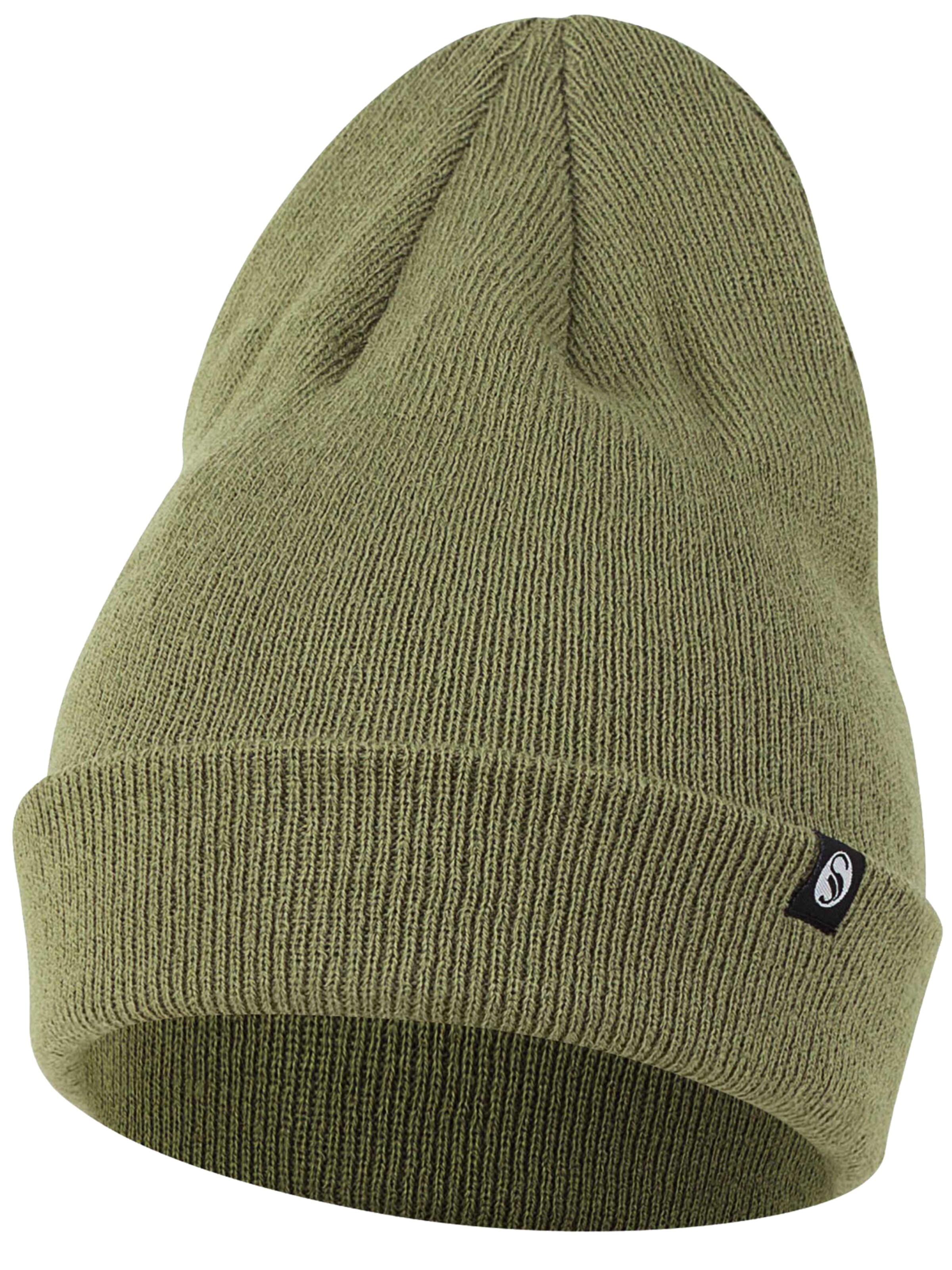 Stark Soul Beanie in Green: front