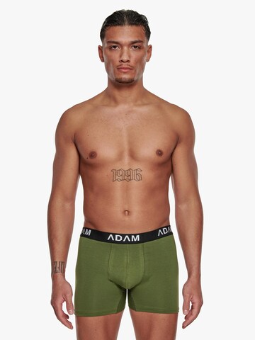 Adam Boxershorts '3er Pack' in Grün