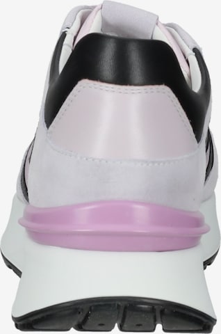 Nero Giardini Sneakers in Purple