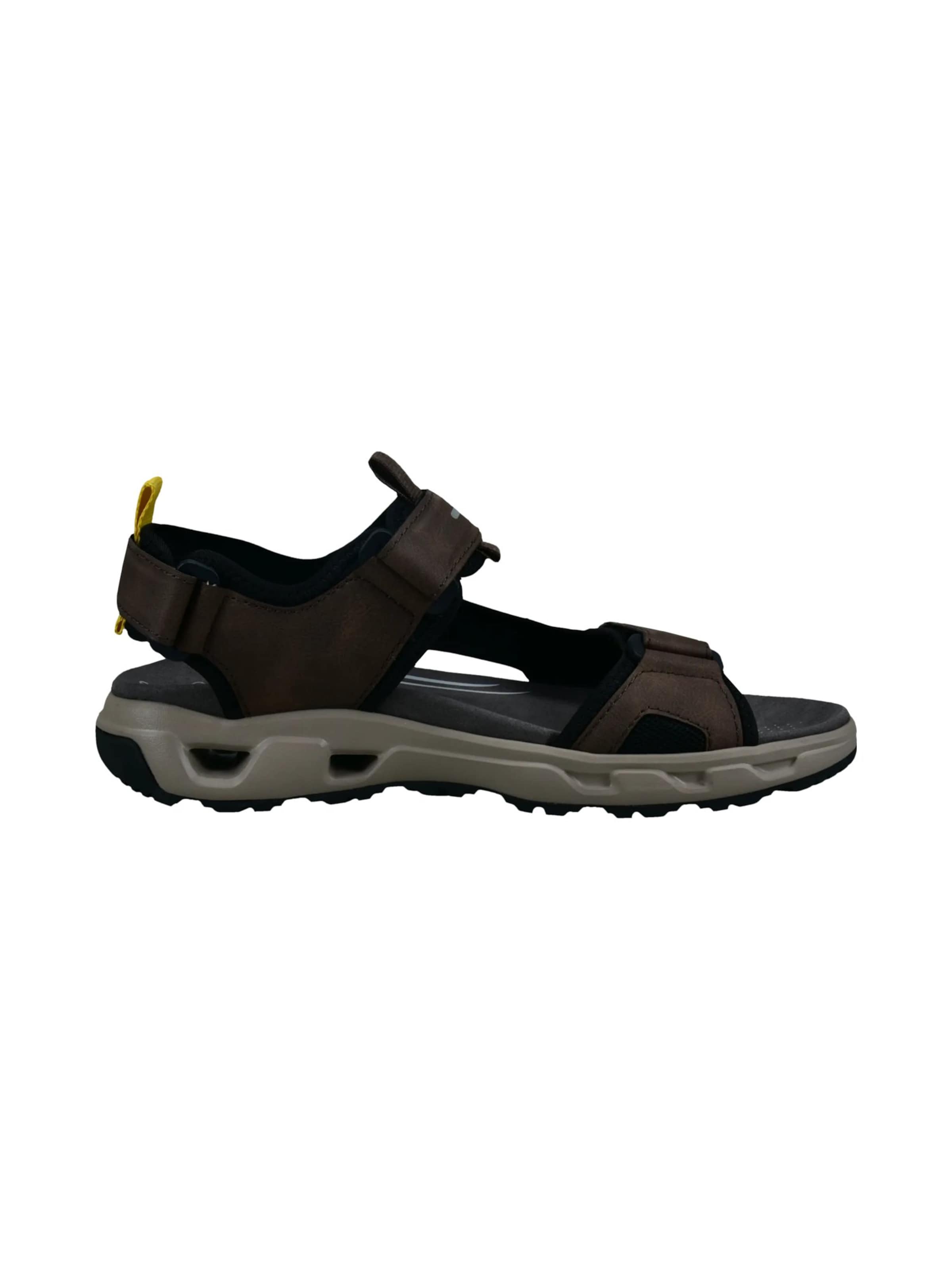 SALAMANDER Sandals in Brown