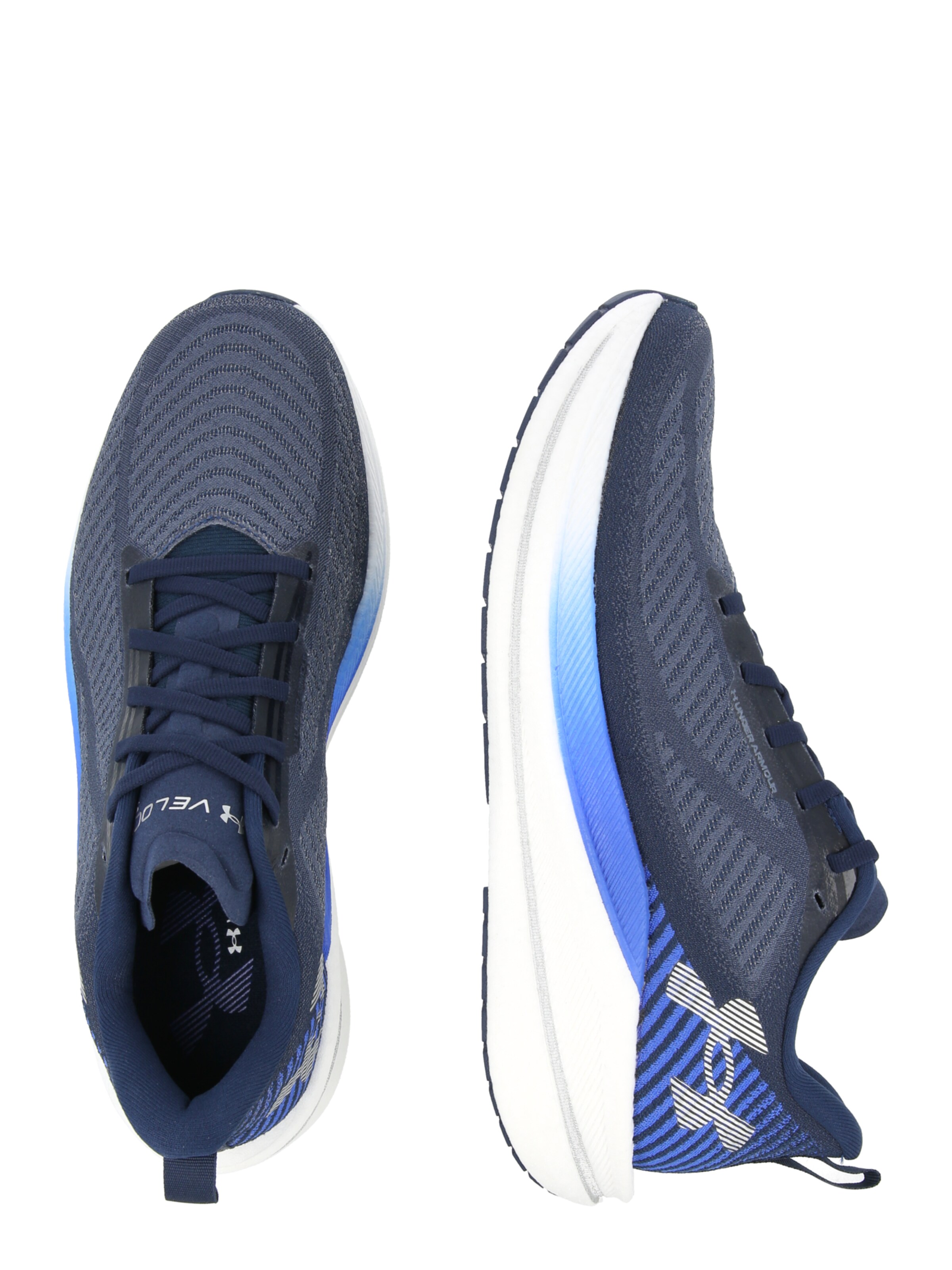 UNDER ARMOUR Běžecká obuv 'Velociti SPD' – modrá