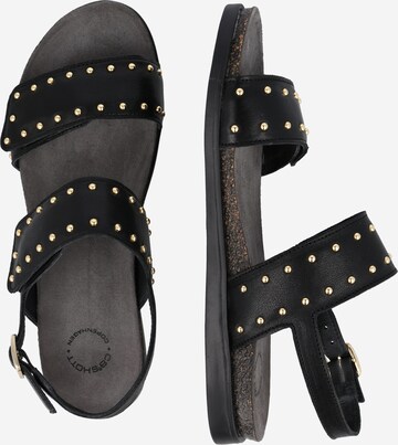 Ca'Shott Sandals in Black