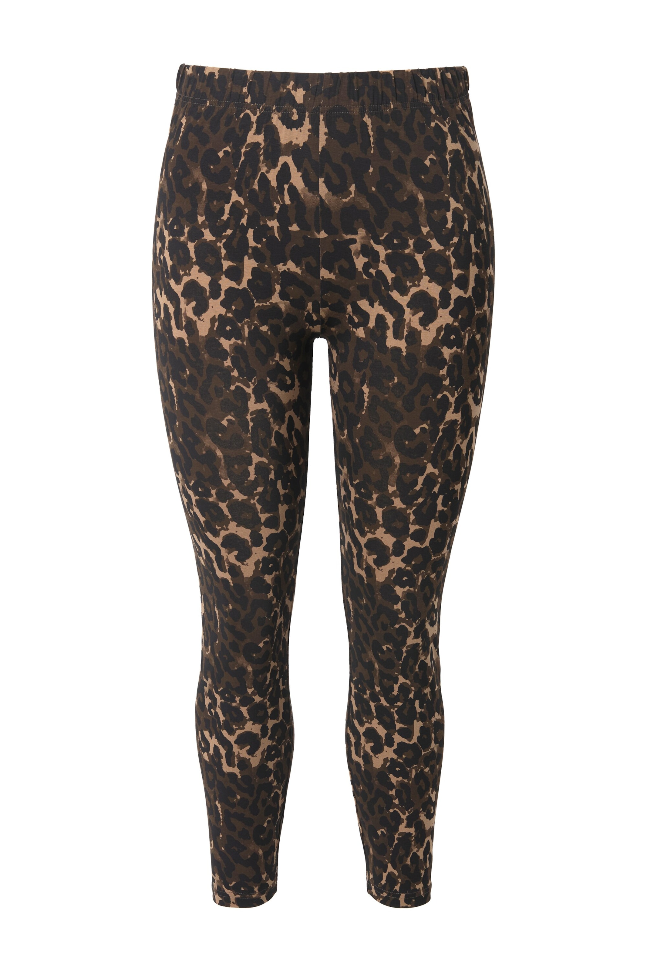 Studio Untold Skinny Leggings in Brown: front