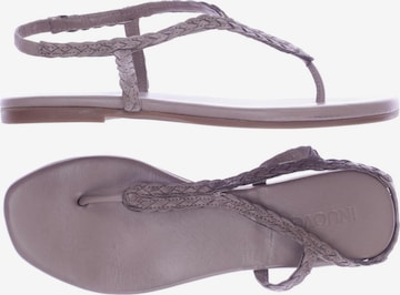 INUOVO Sandalen 37 in Grau: predná strana