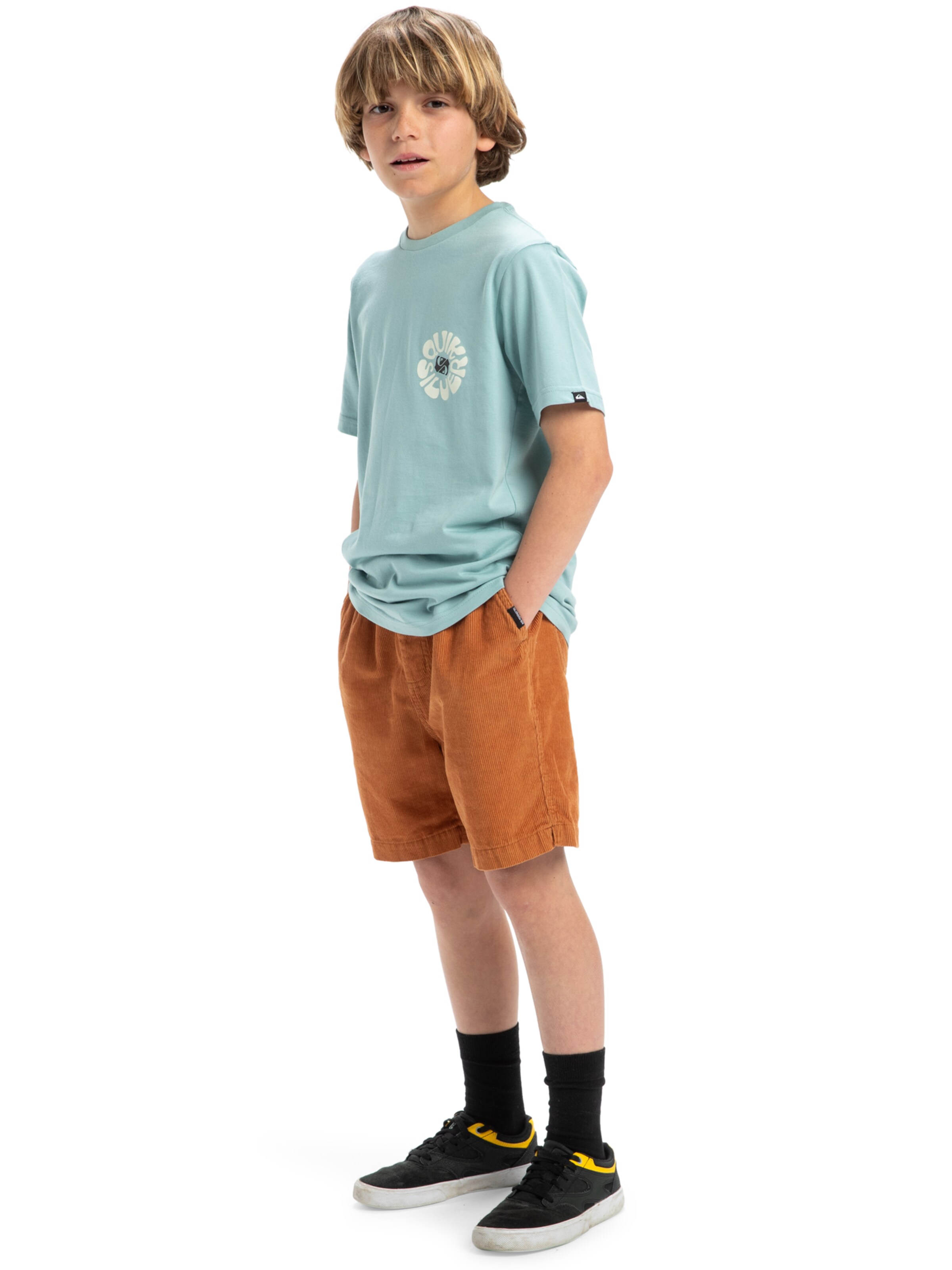 Regular Pantalon 'Taxer' QUIKSILVER en marron