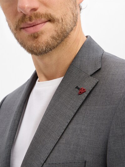 ROY ROBSON Suit in Grey, Item view