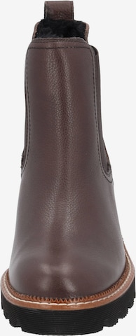 Paul Green Chelsea Boots '8076' in Brown