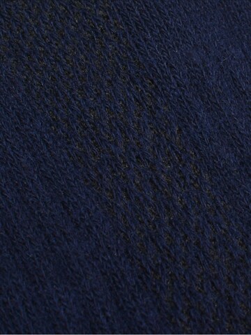 Tastiq Ankle Socks in Blue