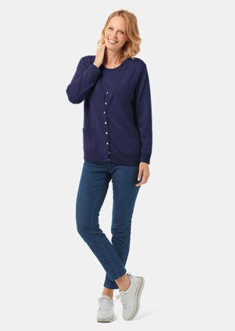 Goldner Sweater in Blue