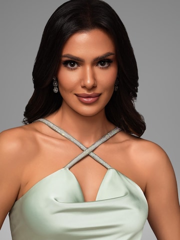 Ombre Evening Dress in Green