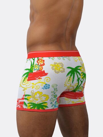 normani Boxershorts in Wit