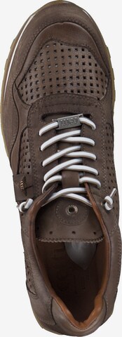 Cetti Sneakers 'C848 S M' in Brown