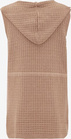 CAILYN Gebreid vest in Beige